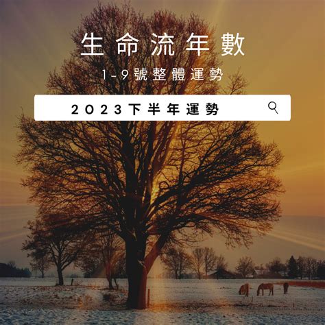 2023生命靈數流年5